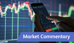 Market Commentary: Week to 25 October 2022