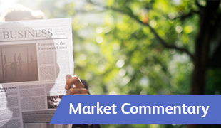 Market Commentary: Week to 24 January 2023