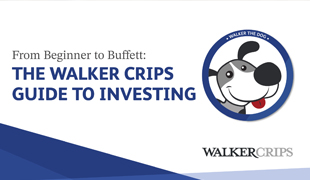 From Beginner to Buffet: The Walker Crips Guide to Investing