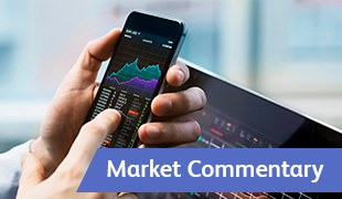 Market Commentary: Week to 22 October 2024